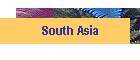 South Asia